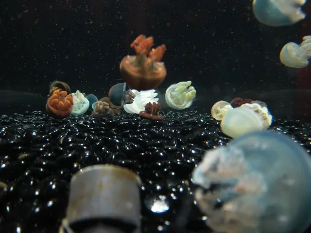 Bodies of deadly creatures barely discernible in water: Carcasses of dangerous animals found on...