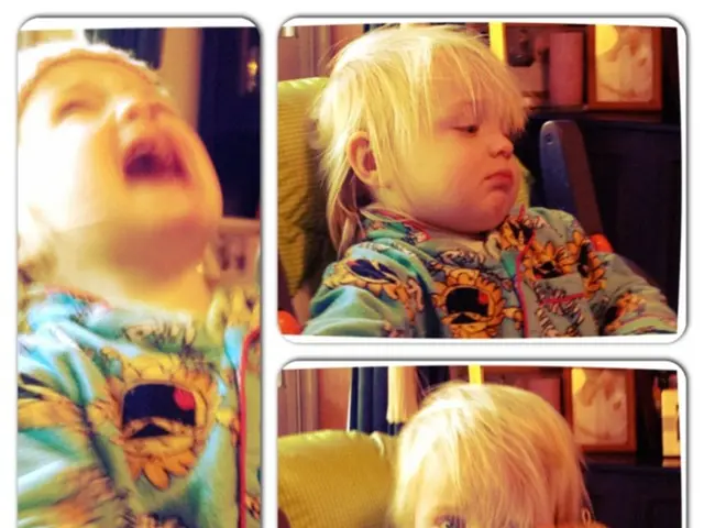 Behavioral Health & Education commemorates the launch of its third facility in Wilder, Northern...