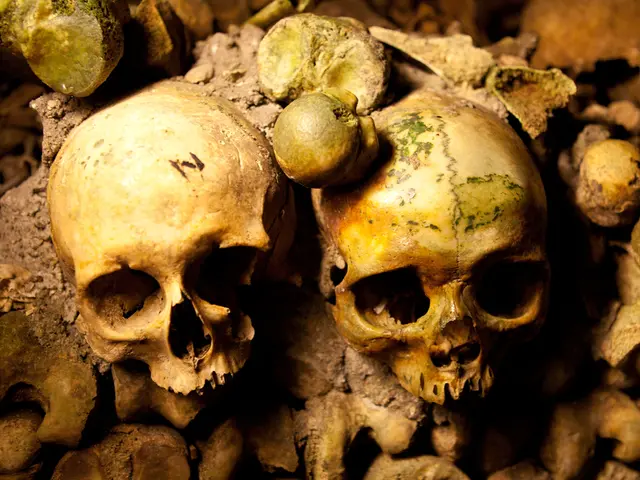 Exercises for a Tighter Neck and Jawline, Surpassing Facial Treatments after the Age of 50