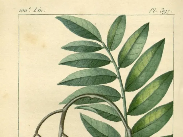 Prolonging Life to the Maximum: Discover the Optimal Diet