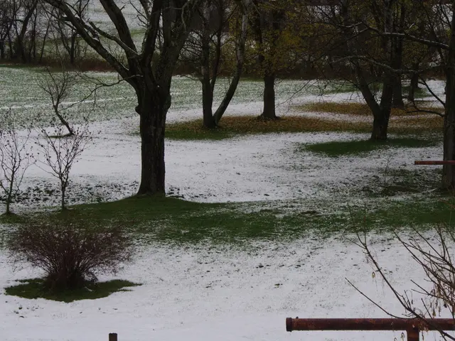 Solution: Weathering climate change might have a solution right beneath our feet.