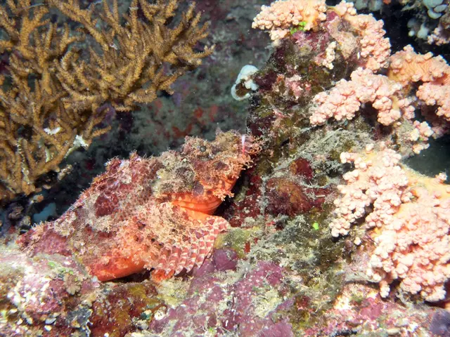 Talent Possessing a Variety of Skills: A Looming Challenge