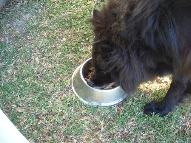 Advancements in suppressing African swine fever outbreaks