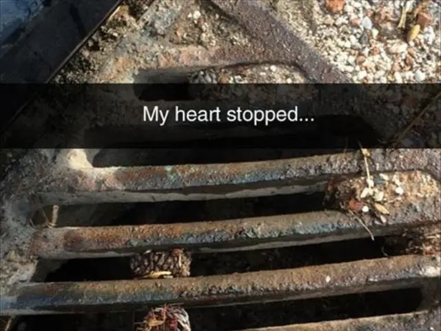 Heart Transplant Operation: Details, Expenses, Post-Surgery Life span, and Further Insights