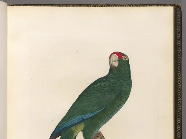 Intelligent Ravens Surprisingly Outsmart Humans in Test