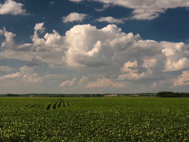 Research conducted at Nanyang Technological University in Singapore reveals that vertical greenery...