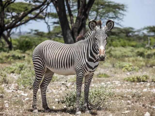 This image is clicked outside. There are small plants at the bottom. There are trees at the top....