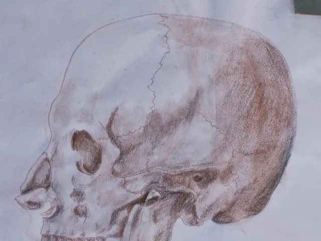 In this image we can see drawing of a skull on a wall.