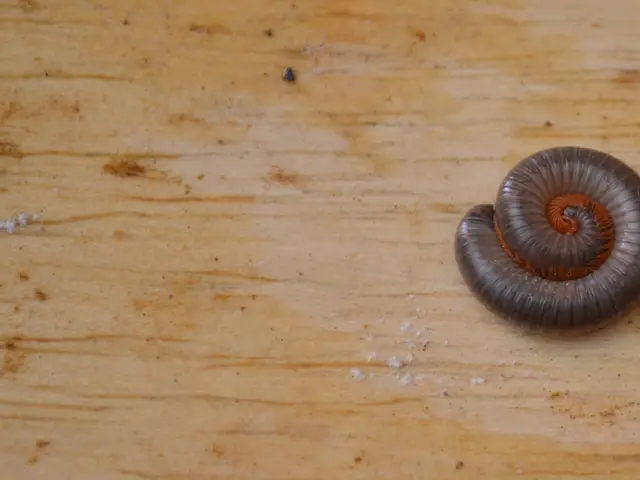 In the picture I can see insert on the floor.