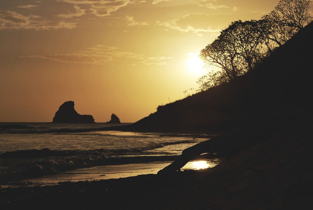Estrogen-Vitamin D Interactions Spark New Inquiries