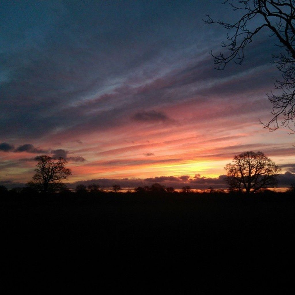 Pregnant women in Schleswig-Holstein commonly undergo blood tests for trisomies, reveal statistics...